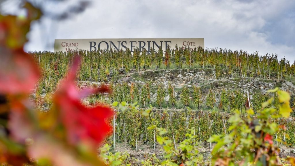 Domaine de Bonserine - Côte Brune