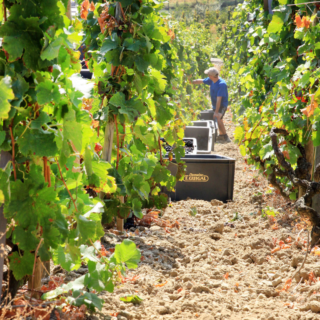 Vendanges Guigal