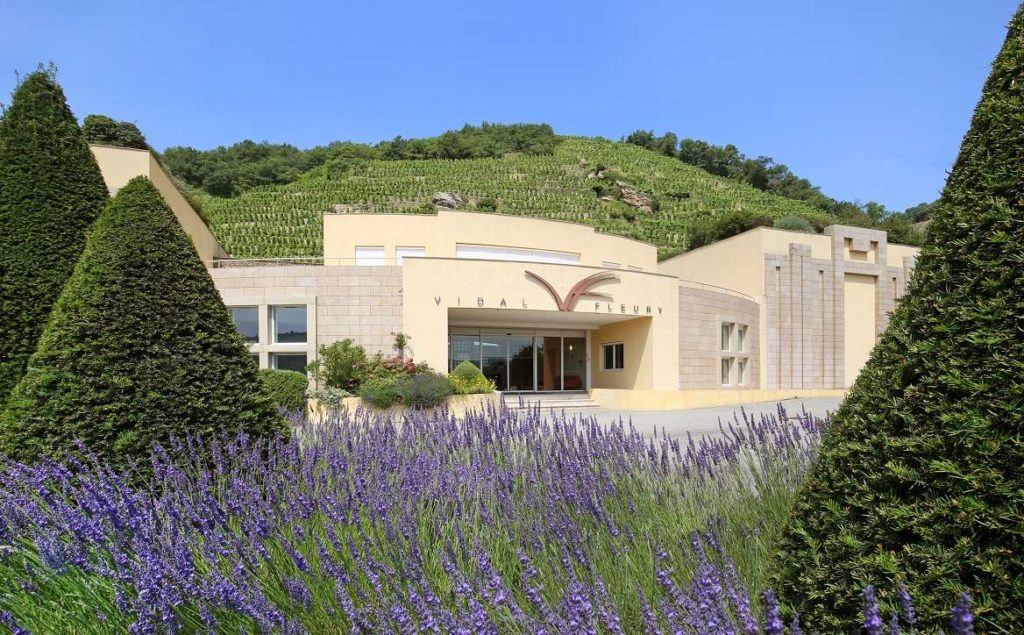 Domaine Vidal-Fleury